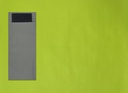Placemats Kleur Lime - 30x40cm - 4x250st