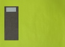 Placemats Kleur Spring - 30x40cm - 250st