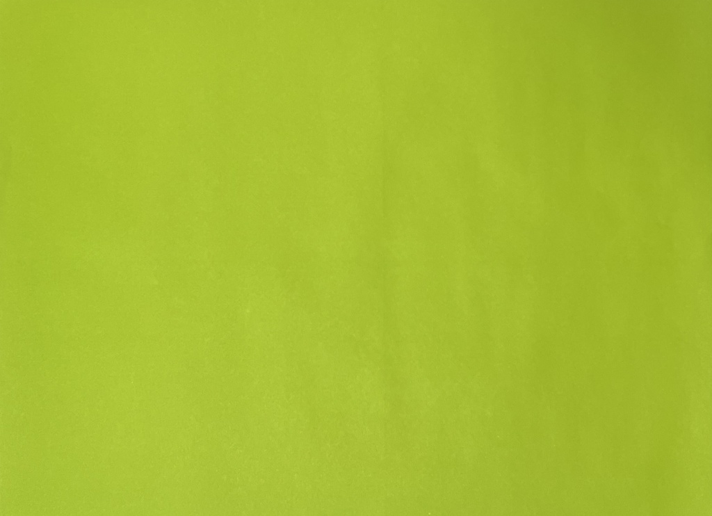 Placemats Kleur Lime - 30x42cm - 500st