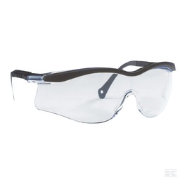 [AR01290] Veiligheidsbril North Edge T5600