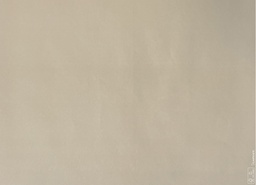 [AR01999] Placemats Kleur Taupe - 30x40cm - 250st