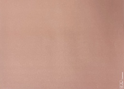 [AR02230] Placemats Kleur Rose - 30x40cm - 250st