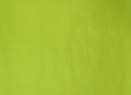 [AR03734] Placemats Kleur Lime - 30x42cm - 500st